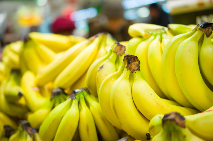 파나마 병 바나나 전염병 우리가 먹는 바나나가 위험하다?! 바나나 전염병  파나마-병