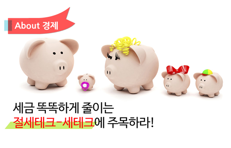 세테크 세금 똑똑하게 줄이는 '절세테크' · '세테크'에 주목하라! 절세테크-세테크-메인 절세테크 세테크 메인 세테크 세금 똑똑하게 줄이는 '절세테크' · '세테크'에 주목하라! 절세테크-세테크-메인
