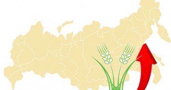 러시아 경제 위기가 곡물 가격을 높인다?