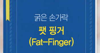 나비효과보다 무서운 팻 핑거 효과