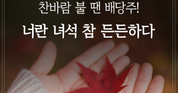 찬바람 불 땐 배당주! 너란 녀석 참 든든하다