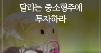 달리는 중소형주에 투자하라