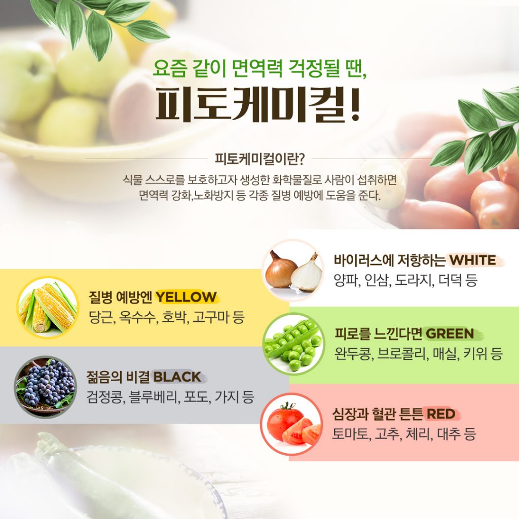 요즘같이 면역력 걱정될 땐, 피토케미컬! 요즘같이 면역력 걱정될 땐, 피토케미컬! 블로그_내지_펀라이프_2-1024x1024 2 요즘같이 면역력 걱정될 땐, 피토케미컬! 요즘같이 면역력 걱정될 땐, 피토케미컬! 블로그_내지_펀라이프_2-1024x1024 2