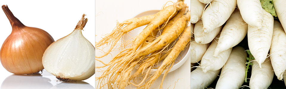 요즘같이 면역력 걱정될 땐, 피토케미컬! 요즘같이 면역력 걱정될 땐, 피토케미컬! 블로그_내지_펀라이프_6 6 요즘같이 면역력 걱정될 땐, 피토케미컬! 요즘같이 면역력 걱정될 땐, 피토케미컬! 블로그_내지_펀라이프_6 6