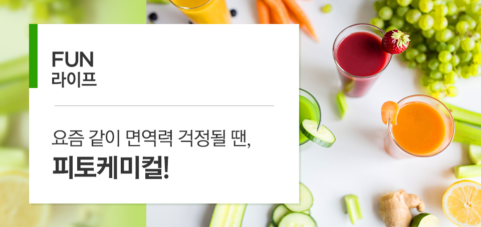 요즘같이 면역력 걱정될 땐, 피토케미컬! 요즘같이 면역력 걱정될 땐, 피토케미컬! 블로그_내지_펀라이프_Top Top 요즘같이 면역력 걱정될 땐, 피토케미컬! 요즘같이 면역력 걱정될 땐, 피토케미컬! 블로그_내지_펀라이프_Top Top
