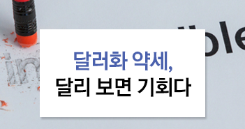 달러화 약세, 달리 보면 기회다