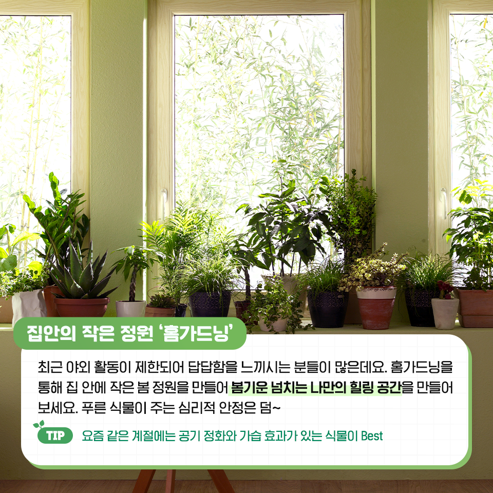 {focus_keyword} 집에서도 OK! 집에서 즐기는 나만의 봄 나기 방법 5  삼성자산운용_봄나기-비법_2                                     2