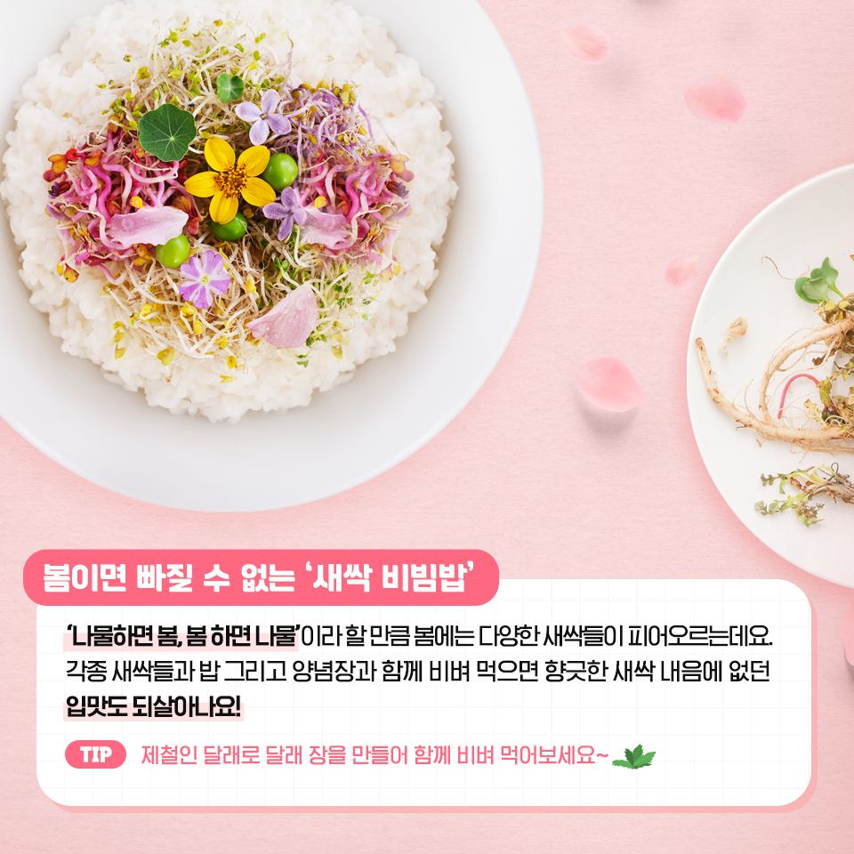 {focus_keyword} 집에서도 OK! 집에서 즐기는 나만의 봄 나기 방법 5  삼성자산운용_봄나기-비법_4                                     4