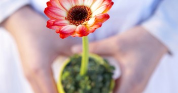 꽃 향기 맡으러 봄꽃 축제 떠나세요~