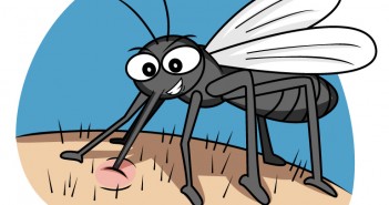 ‘모기 예보제’로 모기 알고 대비하자!