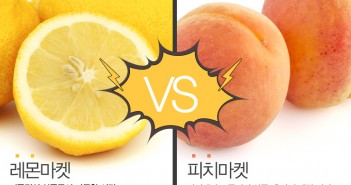 레몬마켓 VS 피치마켓, 경제 속 과일들!